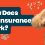 Disability Insurance: Protect Your Income When It Matters Now